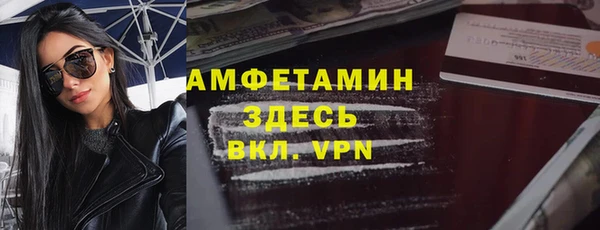 крисы Кулебаки