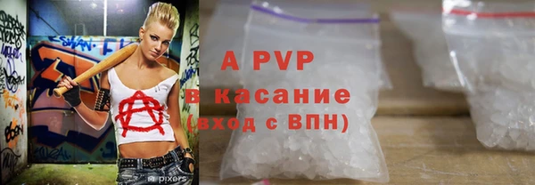 крисы Кулебаки