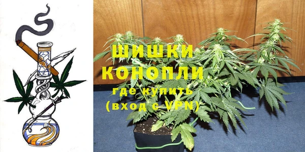 крисы Кулебаки