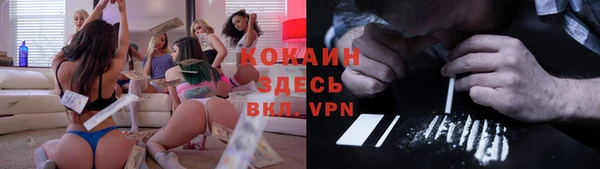 крисы Кулебаки