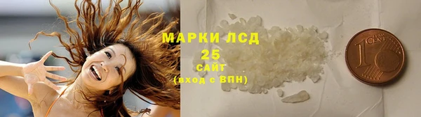 крисы Кулебаки