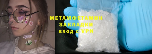 крисы Кулебаки