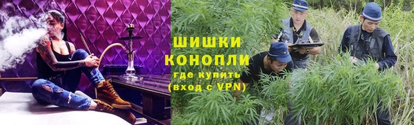 крисы Кулебаки