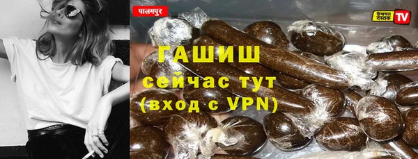крисы Кулебаки