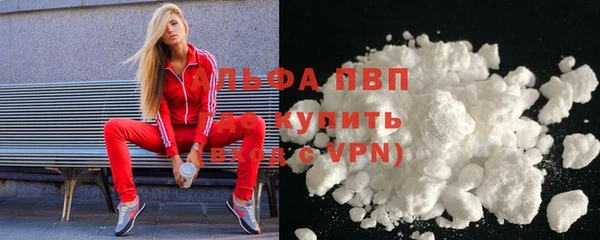 крисы Кулебаки