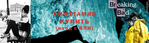 крисы Кулебаки