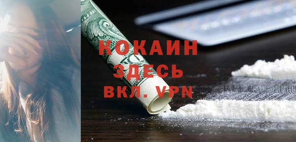 крисы Кулебаки