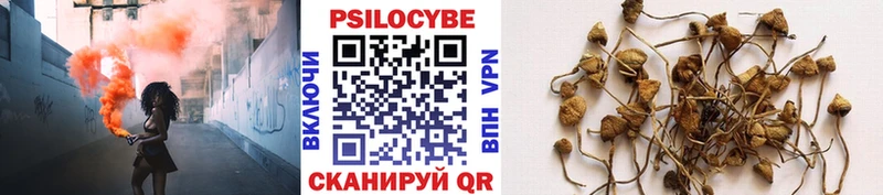 даркнет сайт Нижний Новгород Галлюциногенные грибы Psilocybine cubensis