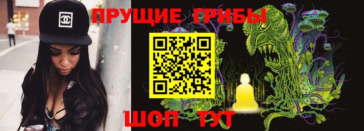 хочу наркоту  Нижний Новгород  Галлюциногенные грибы ЛСД 