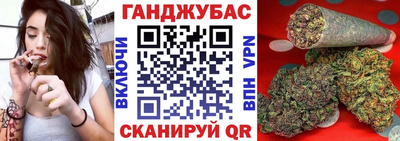 Бошки Шишки марихуана  где купить наркотик  Нижний Новгород 